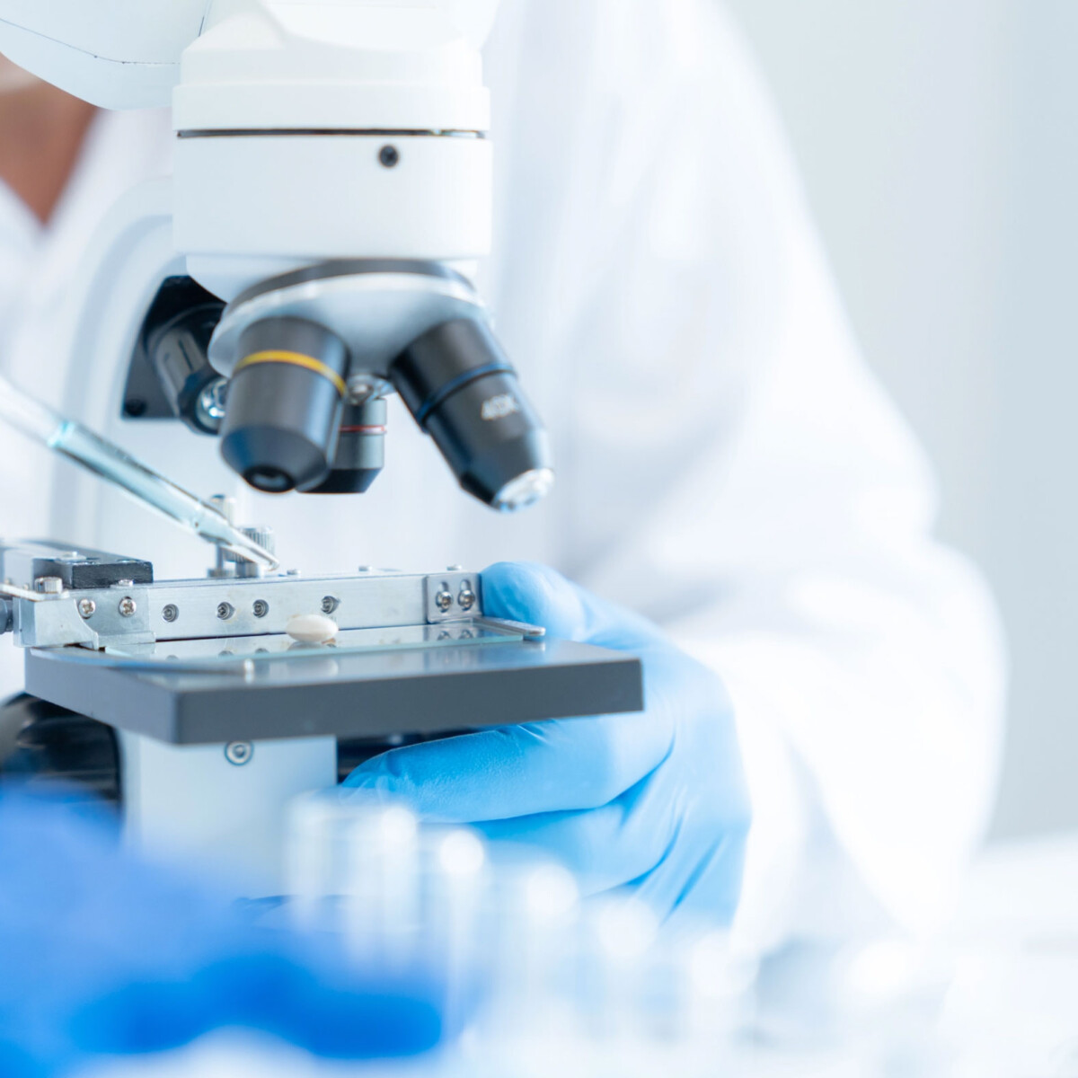 raison_strategies_activites