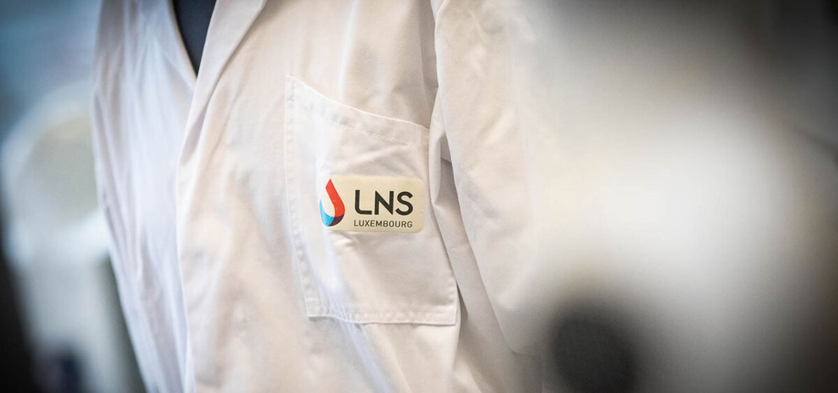 lns_17