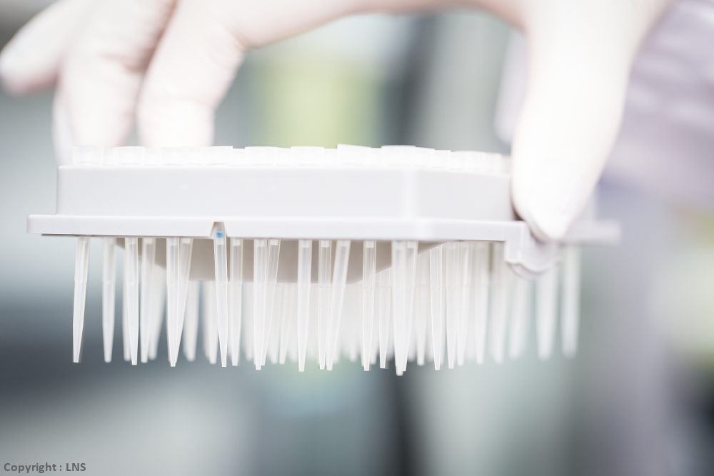 lns_genetique-biologie-moleculaire-hemoglobinopathie_14