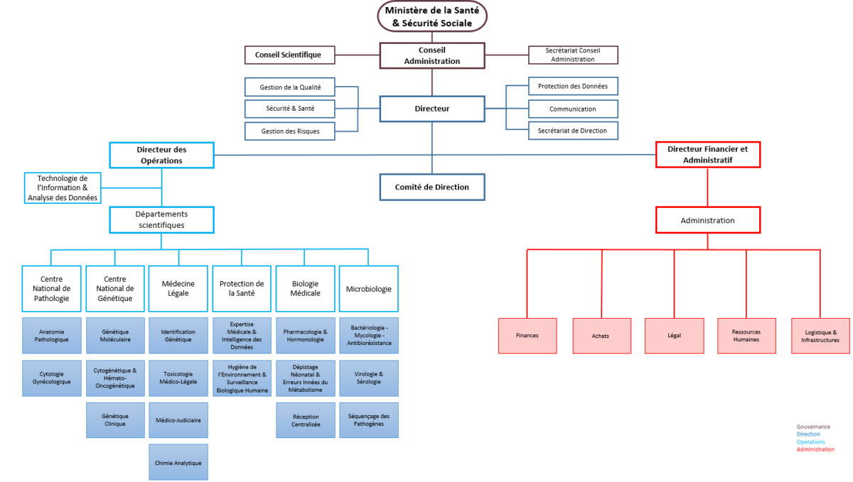 organigramme_avril-2025_fr-v2-2